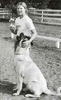 Alp happily training his human student