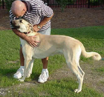 Tessie at 9 months
