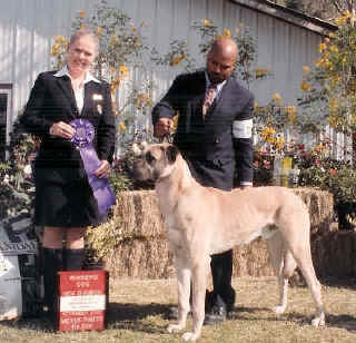 [ Winners Dog ]