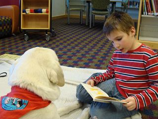 Indy at the library