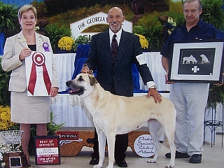 fcftessie-BOS-AtlantaGA2008-specialty.jpg (81264 bytes)