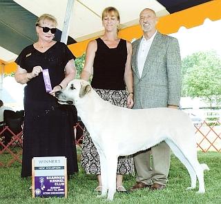 tessiechamp2008.jpg (106985 bytes)