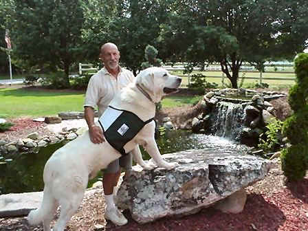 [ Marky, Therapy Dog with Delta Society ]