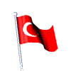 Turkish Flag
